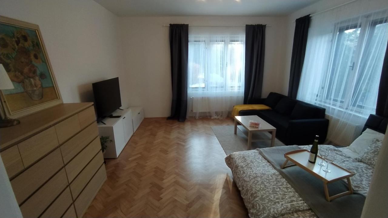 Vila Sik Nove Mesto na Morave Εξωτερικό φωτογραφία